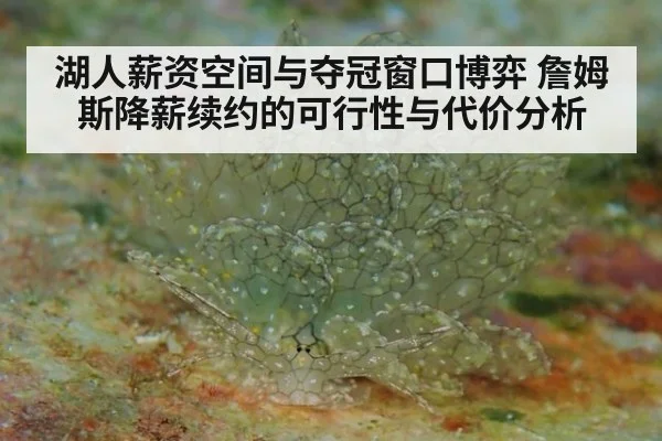 湖人薪资空间与夺冠窗口博弈 詹姆斯降薪续约的可行性与代价分析